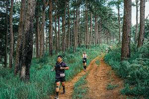 BIB: 
                            <button type="button" onclick="openModal(25741425)" class="btn btn-primary btn-sm float-right btn-popup" data-toggle="modal" data-target=".modal-high-quality">
                        <i class="fas fa-shopping-cart"></i> Add to Cart
                    </button>
                                            <button type="button" onclick="isThisMe(25741425, true)" class="btn btn-success btn-sm float-right btn-popup btn-isme hidden" data-toggle="tooltip" data-placement="bottom" title="นี่คือรูปของคุณใช่ไหม คลิกที่นี่เพื่อเอาเข้าอัลบั้ม">
                        <i class="fas fa-plus"></i> Add to album
                    </button>
                    <button type="button" onclick="isThisMe(25741425, false)" class="btn btn-warning btn-sm float-right btn-popup btn-isnotme hidden">
                        <i class="fas fa-ban"></i> Remove from album
                    </button>